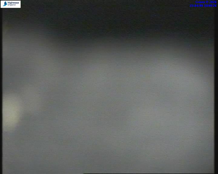 55206-1787177042.jpg