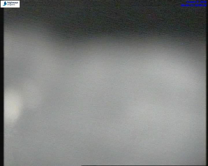 55206-1787184340.jpg