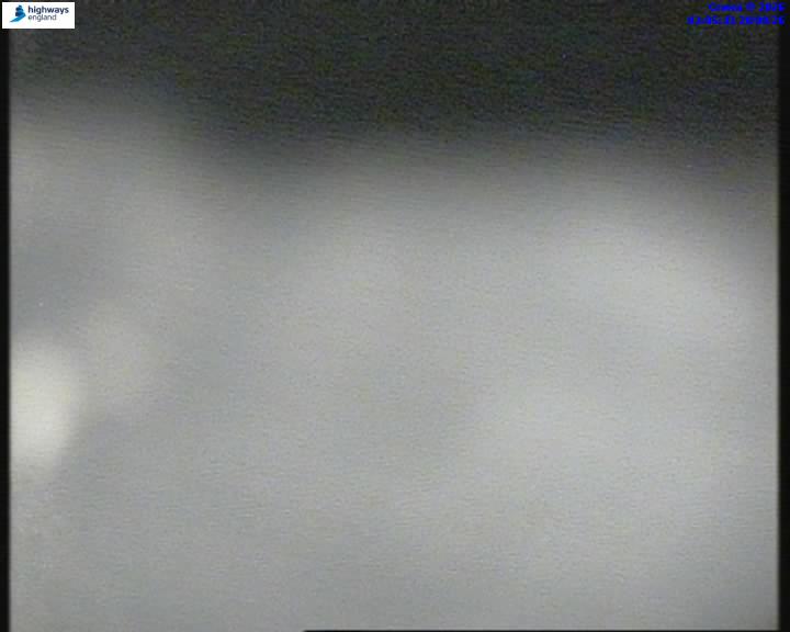 55206-1787195145.jpg