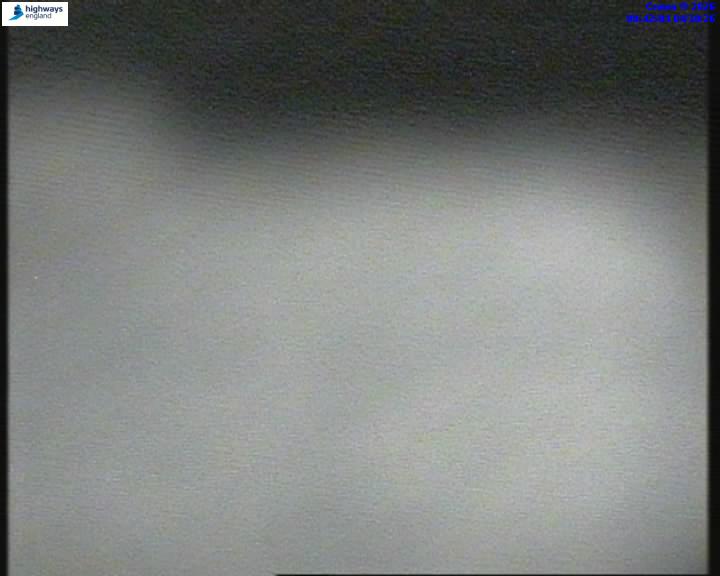 55206-1791074532.jpg