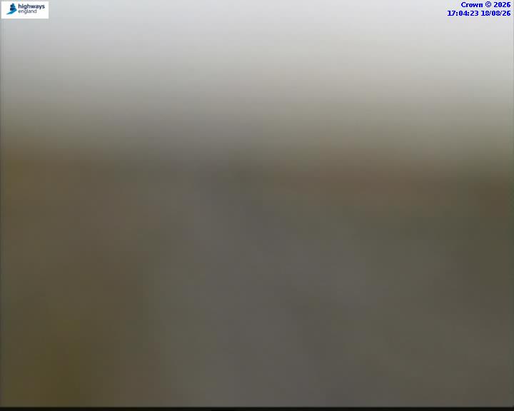 52386-1787072672.jpg