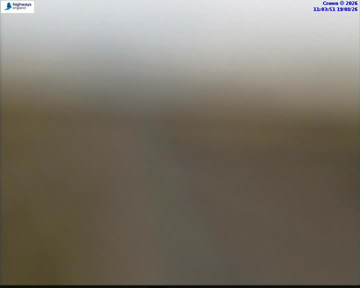 52386-1787137448.jpg
