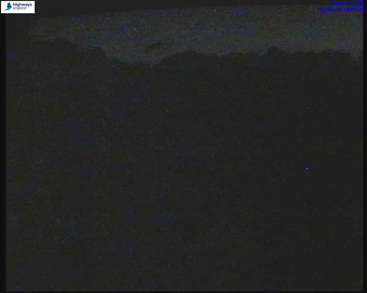 52307-1787166239.jpg