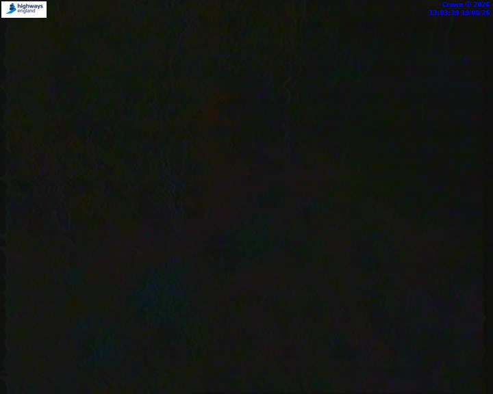 55230-1787144639.jpg