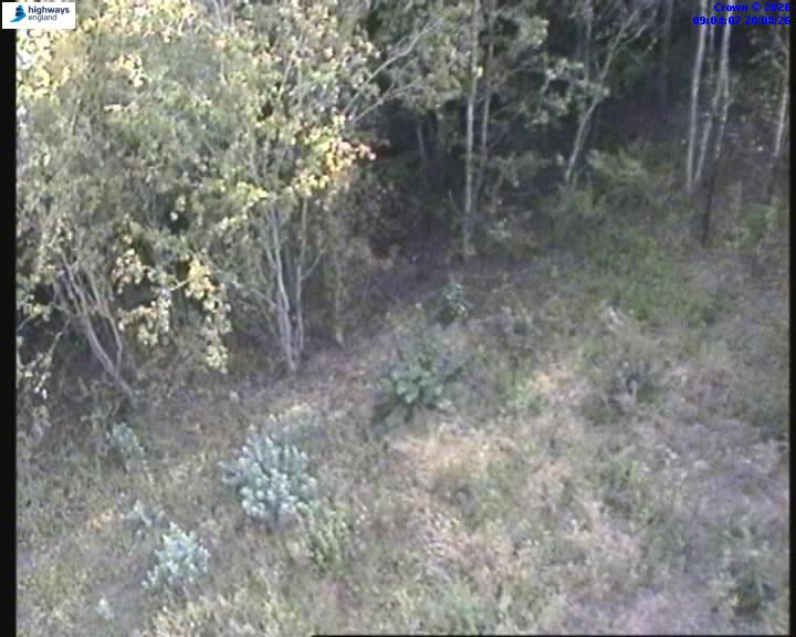 55230-1787216662.jpg
