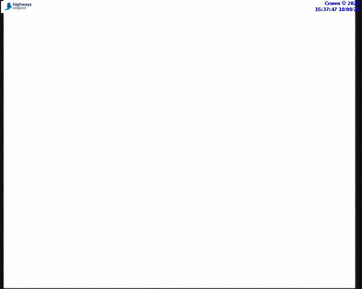 55223-1787067478.jpg