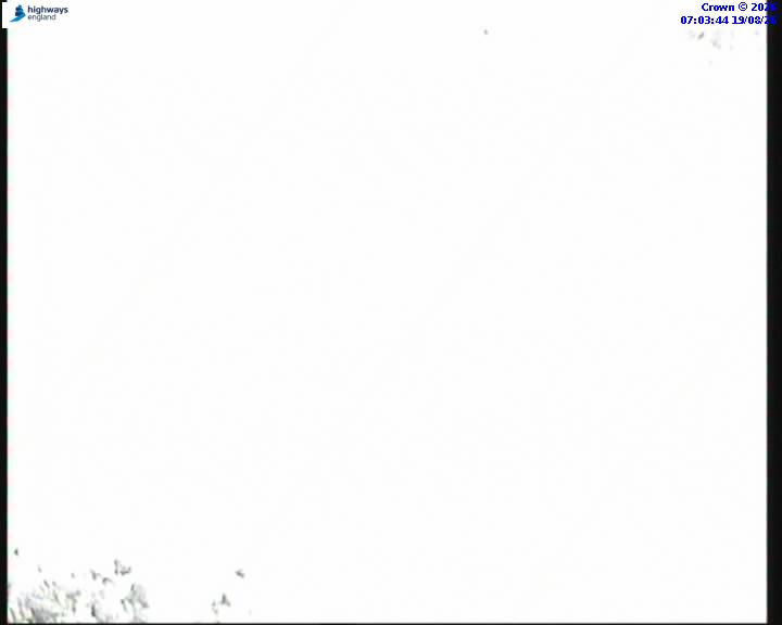 55223-1787123039.jpg