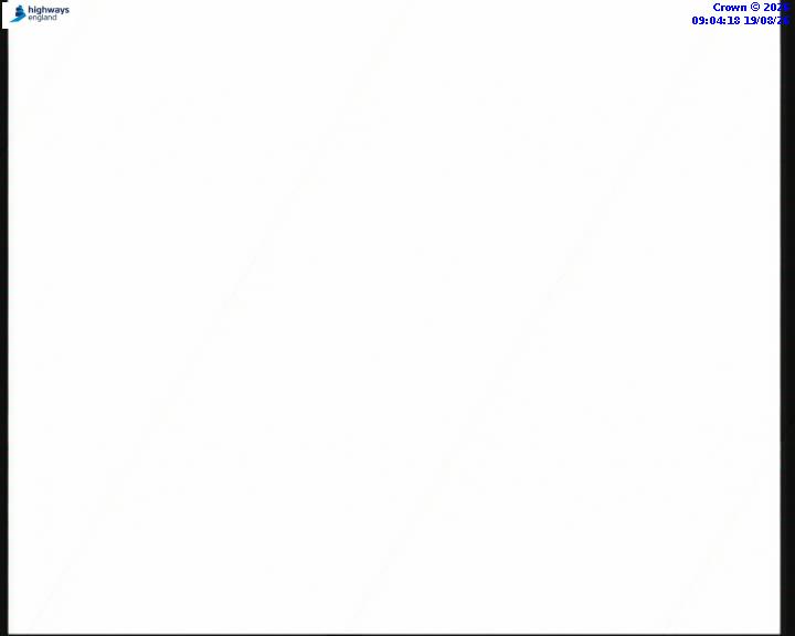 55223-1787130270.jpg
