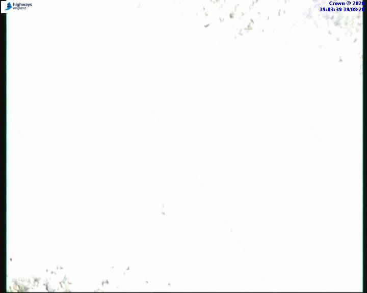55223-1787166240.jpg