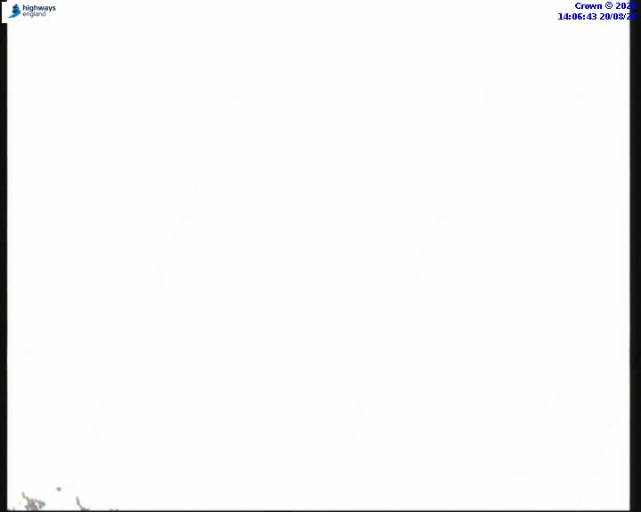 55223-1787234820.jpg