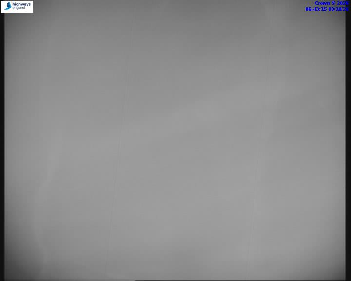 55223-1791009816.jpg