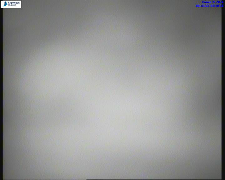 55237-1791009812.jpg
