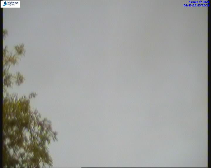 55246-1791009813.jpg