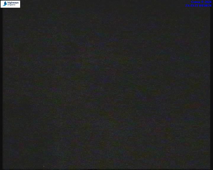 55246-1791157422.jpg