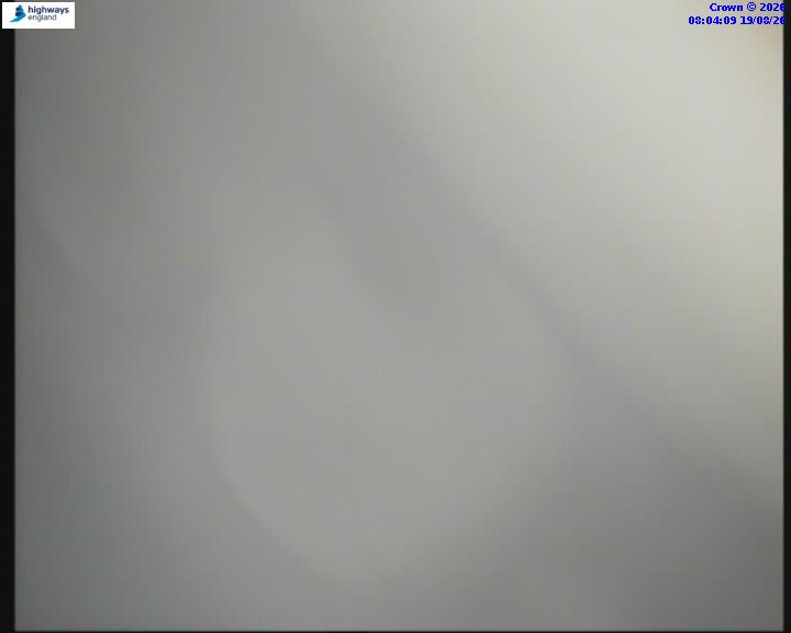 55268-1787126670.jpg