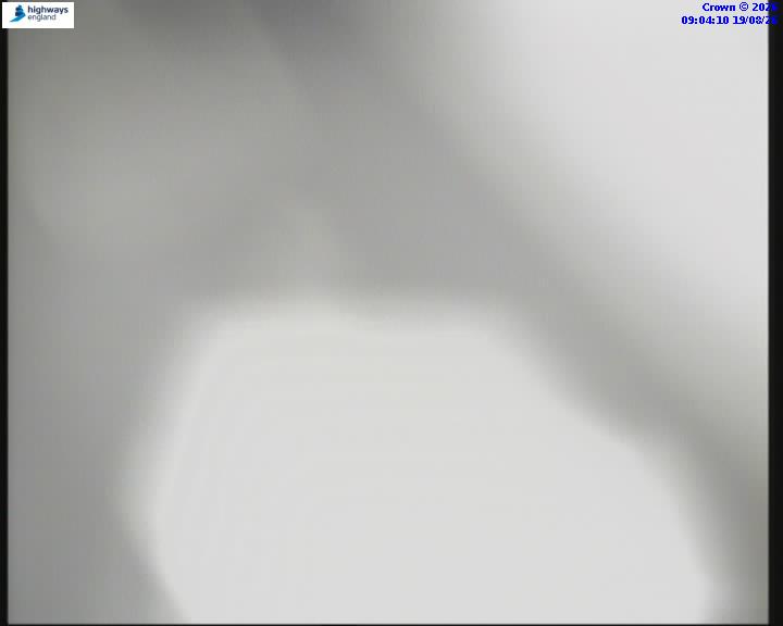 55268-1787130268.jpg