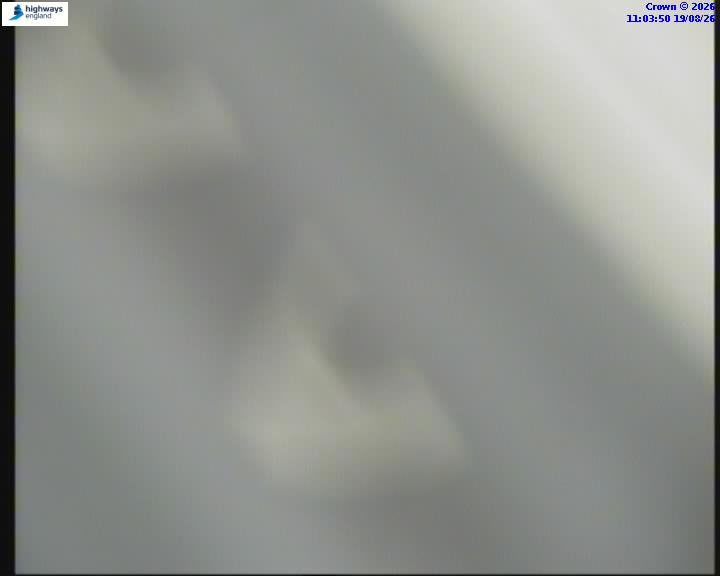55268-1787137445.jpg
