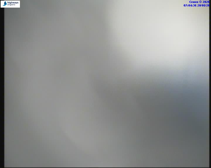 55268-1787209497.jpg