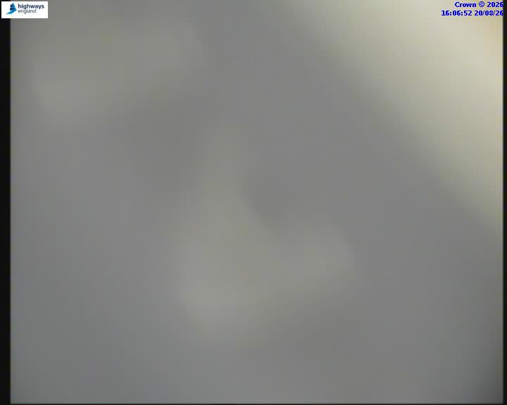 55268-1787242023.jpg