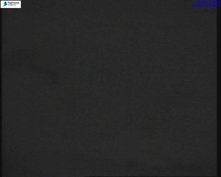 55271-1787007942.jpg