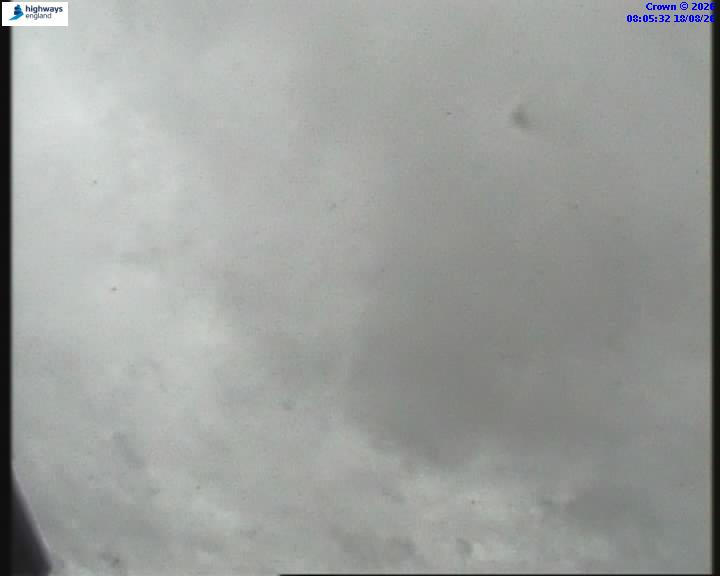 55271-1787040347.jpg
