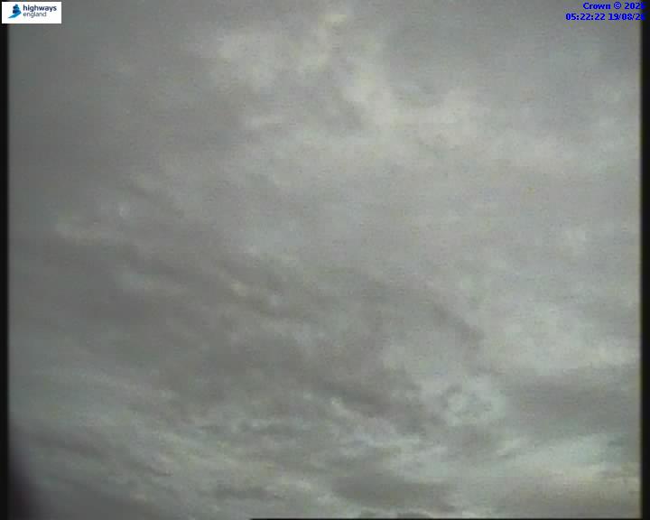 55271-1787116981.jpg