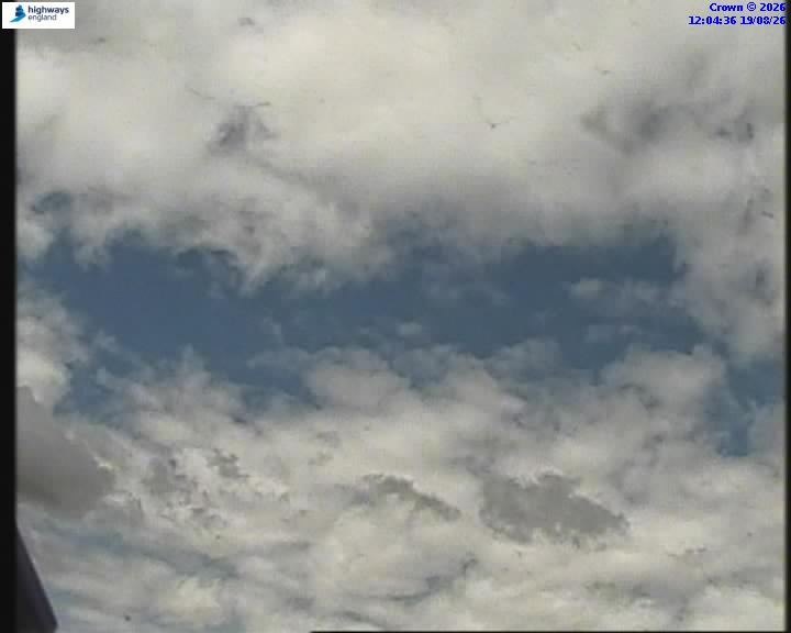 55271-1787141079.jpg