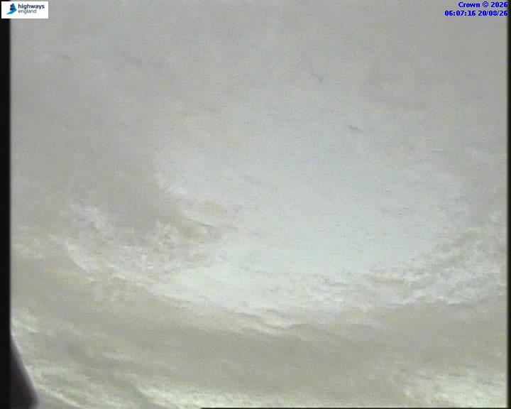 55271-1787206053.jpg