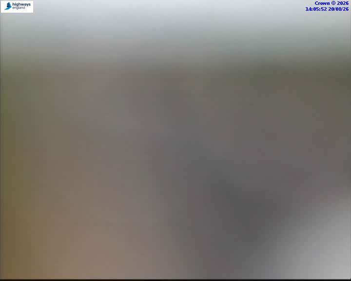 52441-1787234776.jpg