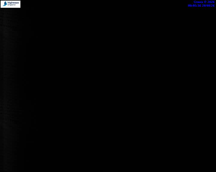 55319-1787184327.jpg