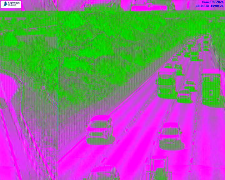 55357-1787155450.jpg
