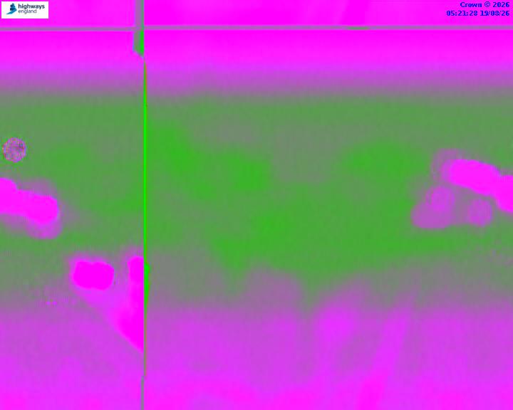55364-1787116905.jpg