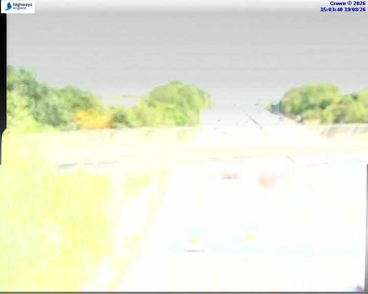 55364-1787151831.jpg
