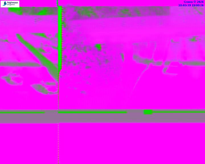 55364-1787162638.jpg