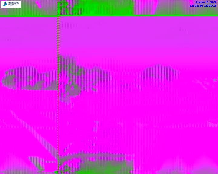 55364-1787166232.jpg