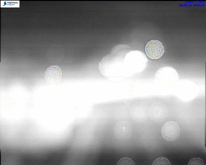 55364-1787184326.jpg