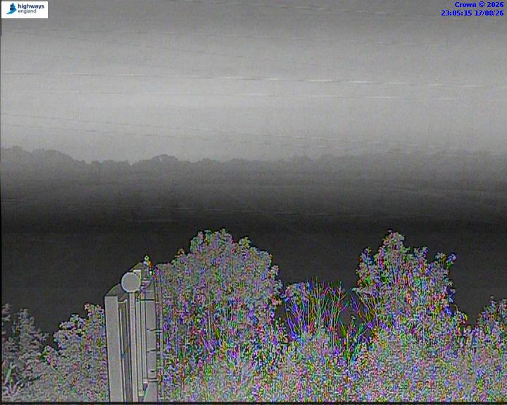 55400-1787007937.jpg