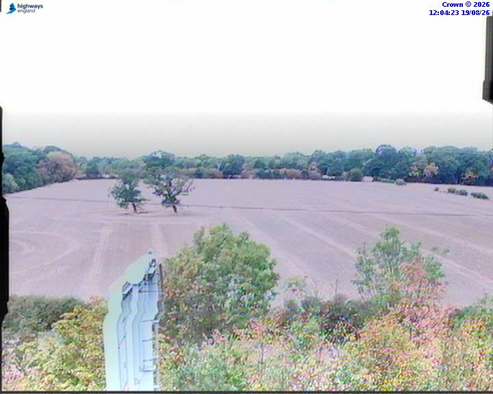 55400-1787141074.jpg