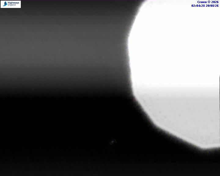55400-1787191479.jpg
