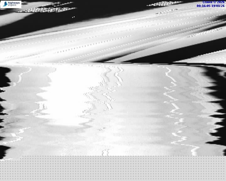 50663-1787098597.jpg