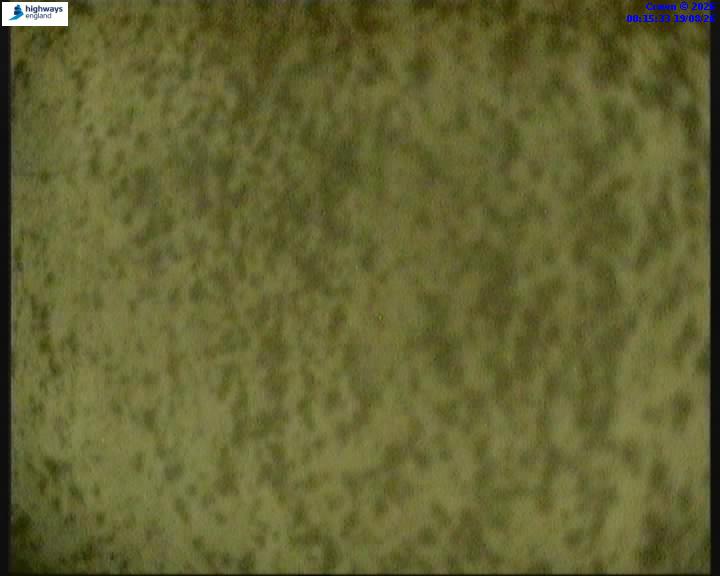 50642-1787098573.jpg