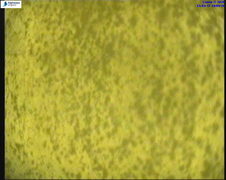50642-1787137438.jpg