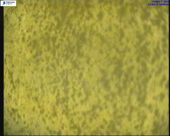 50642-1787141073.jpg