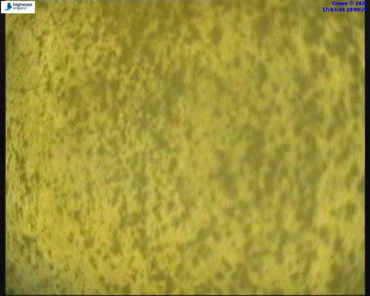 50642-1787159036.jpg