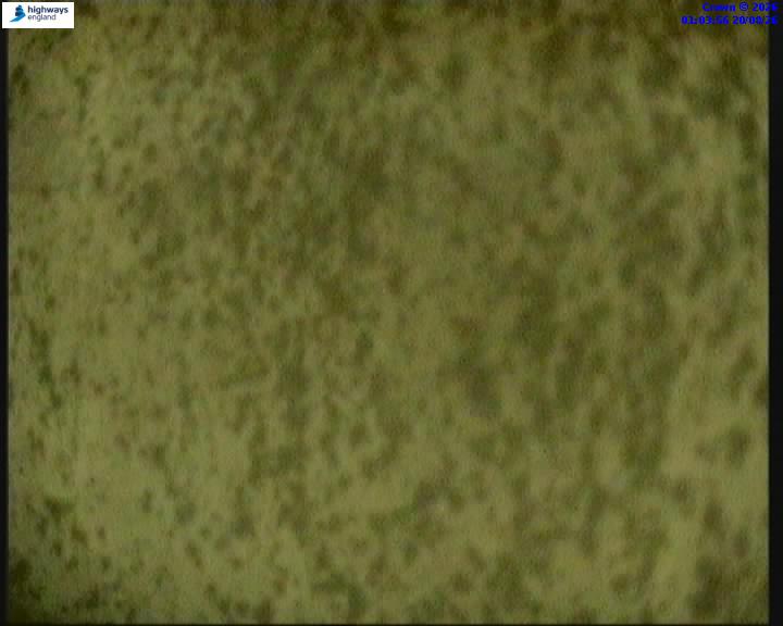 50642-1787187851.jpg