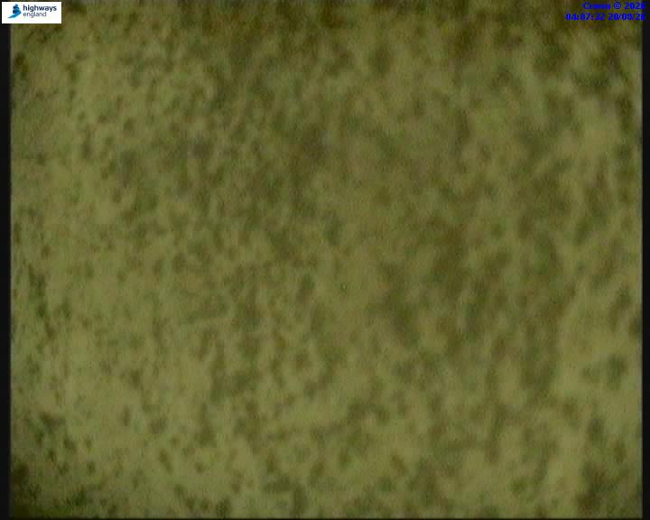 50642-1787198865.jpg
