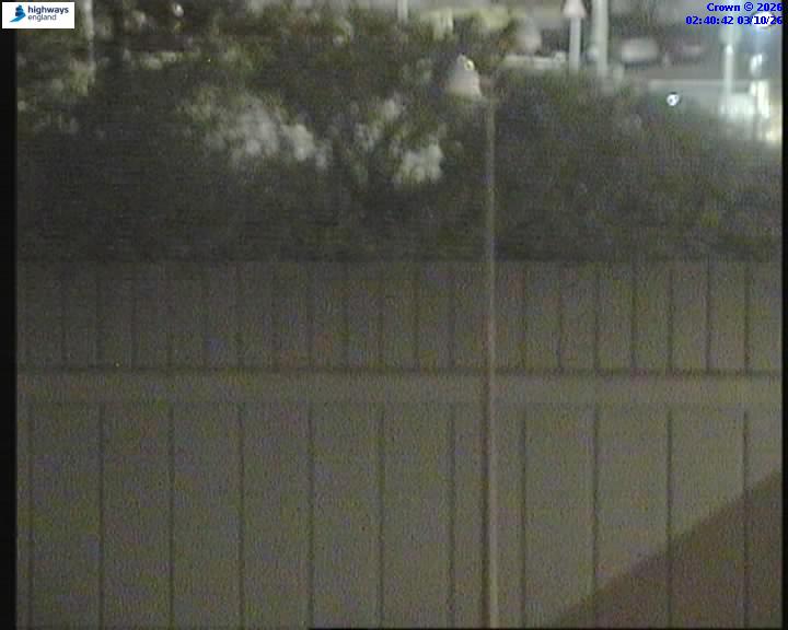 50659-1790995250.jpg