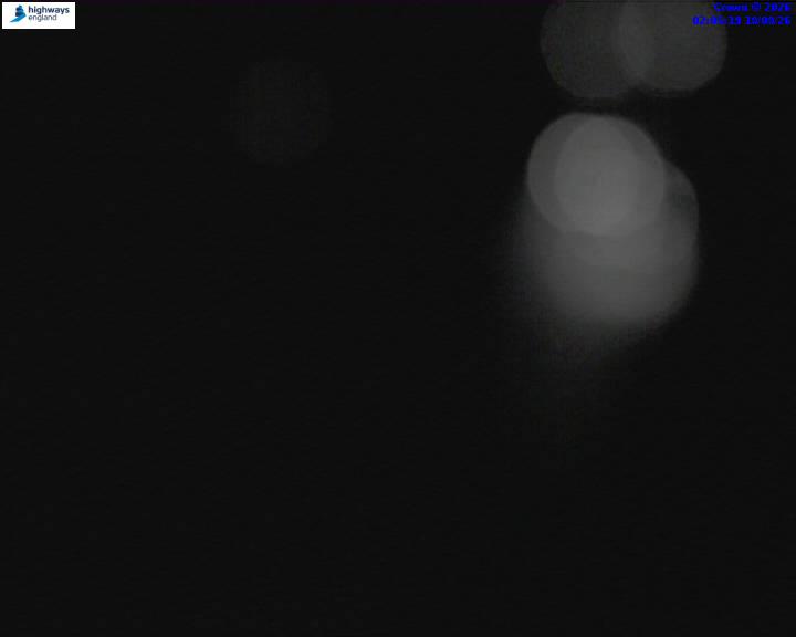 55424-1787018725.jpg