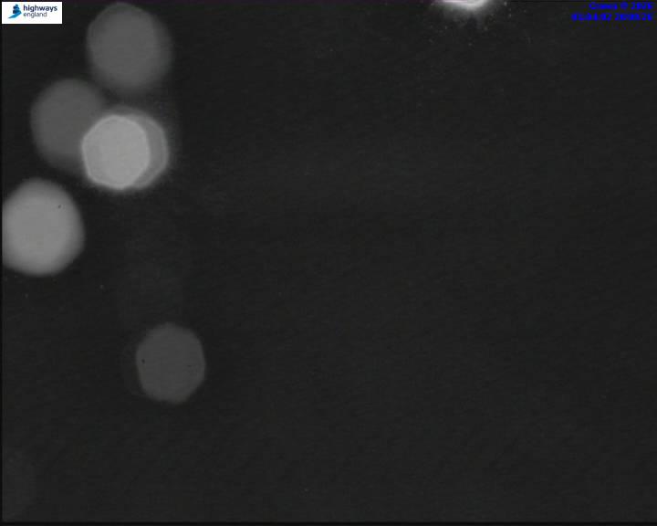 55452-1787187848.jpg