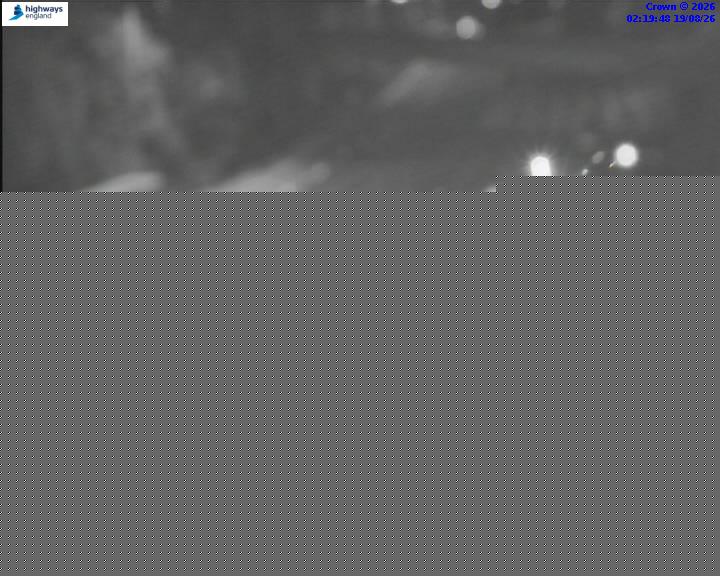 55464-1787106035.jpg